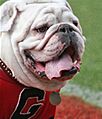 Uga VI