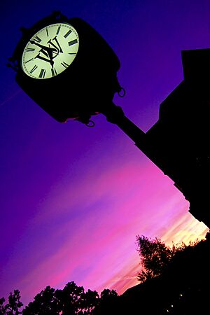WashU Clocktower