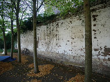 Western Face of the Eastern Boundary Wall around the Former Royal Dockyard, Deptford (V)