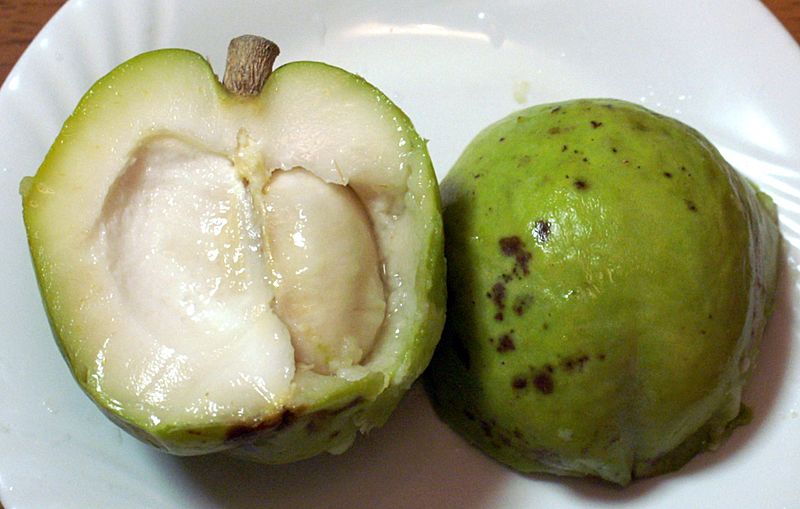 White sapote2