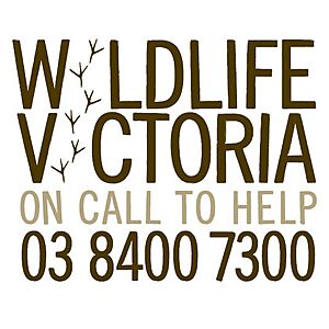 Wildlife Victoria Logo Emergency Number.jpg