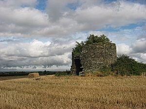 Windmill on Christians Hill, Ardee, Co. Louth - geograph.org.uk - 961121