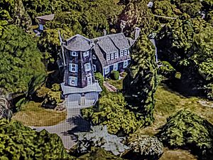 Wood house3D