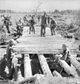 013982 Buna bridge