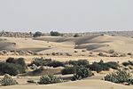 Sand dunes and some shrubs