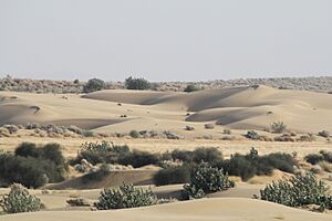 A view on Sams sand dunes