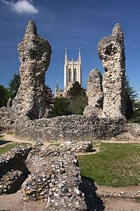 Abbey ruins and St Edmundsbury Cathedral - geograph.org.uk - 1877473