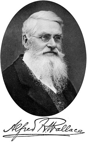 Alfred Russel Wallace - Project Gutenberg eText 14558