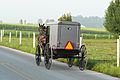Amish buggy 2