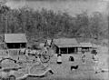 Aspley 1887