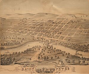 Bird's Eye view, St. Peter, Minnesota - DPLA - d3eac16e66f34c6a3213ff176ceff131 (cropped)