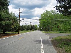 Intersection of Long Swamp Road and Cranberry Canners Road