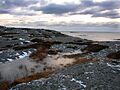 Bua in winter