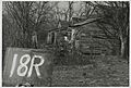 Cabins, One with Laundry Drying, Fazendeville, Louisiana, 1960