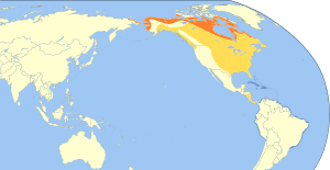 Calidris pusilla map.svg