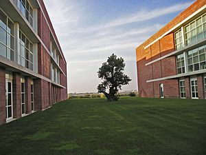Campus Tiscali