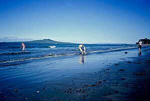 Castor Bay beach