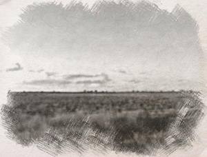 Cooper County Gunderbooka County NSW Australia