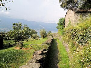 Corenno Plinio Sentiero del Viandante