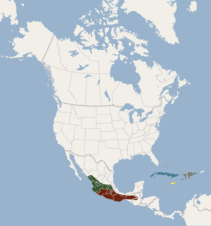 Distribution of Macrotus waterhousii.png