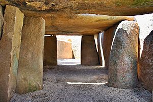 Dolmen de Lácara (6910004530).jpg