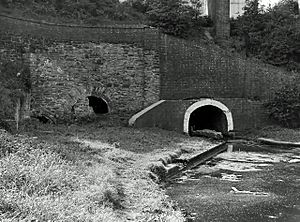 Dudley Tunnel, east end, Summer 1964 - geograph.org.uk - 1651829