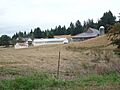 Erickson Farm (1)