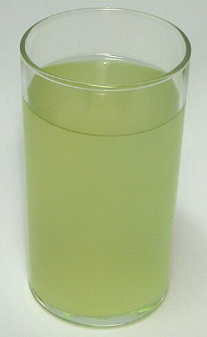 Federweisser im Glas (Baden 2007)