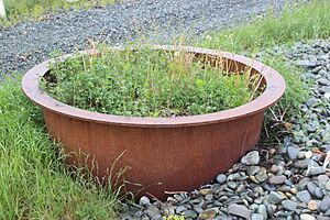 Ferryland bark pot 2 july 2020 dale jarvis