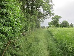 Field edge boundary (geograph 3522458).jpg