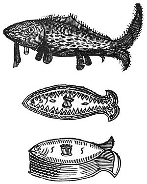 Fish pies from The Accomplisht Cook 1660