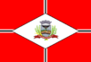 Flag of São José do Rio Preto