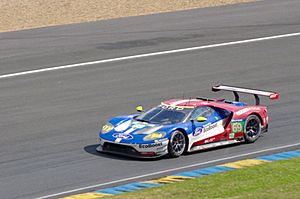 Ford Chip Ganassi Team USA's Ford GT EcoBoost Driven by Ryan Briscoe, Richard Westbrook and Scott Dixon (30700502256)