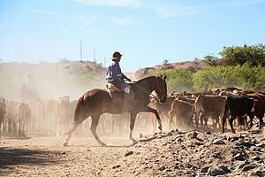 Gauchos in Calchaquí Valleys, Argentina 04