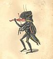 Grasshopper Costume Comus Parade 1873