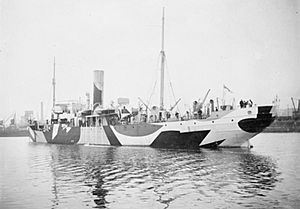 HMS Saxifrage WWI IWM SP 1650