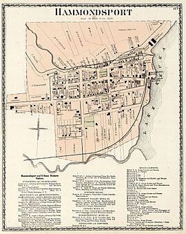 Hammondsport map, 1873