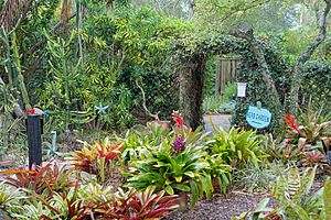 Heathcote Botanical Gardens - Fort Pierce, Florida - DSC03280