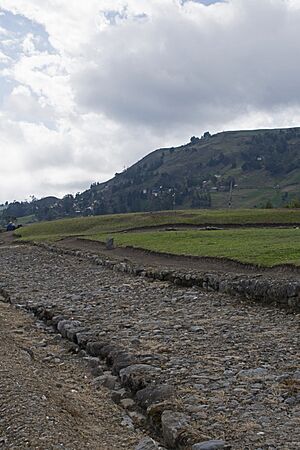 Ingapirca Inca Road segment