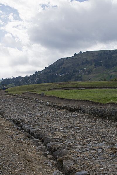 Ingapirca Inca Road segment