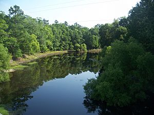 Jefferson-Madison Aucilla River north01