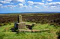 Lady's cross