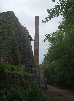 Lime kilns and chimney - geograph.org.uk - 1322232