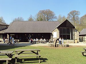 Loggerheads visitor centre, Denbighshire - DSC05498