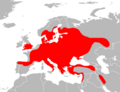 Mapa Apodemus flavicollis