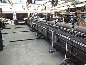 Masson Mills WTM 14 mules 5957