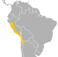 Mormopterus kalinowskii Range