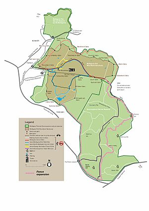 Mulligans Flat and Goorooyarroo nature reserves