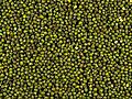 MungBean