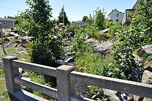 NewPerlicanNL HarrysBrook